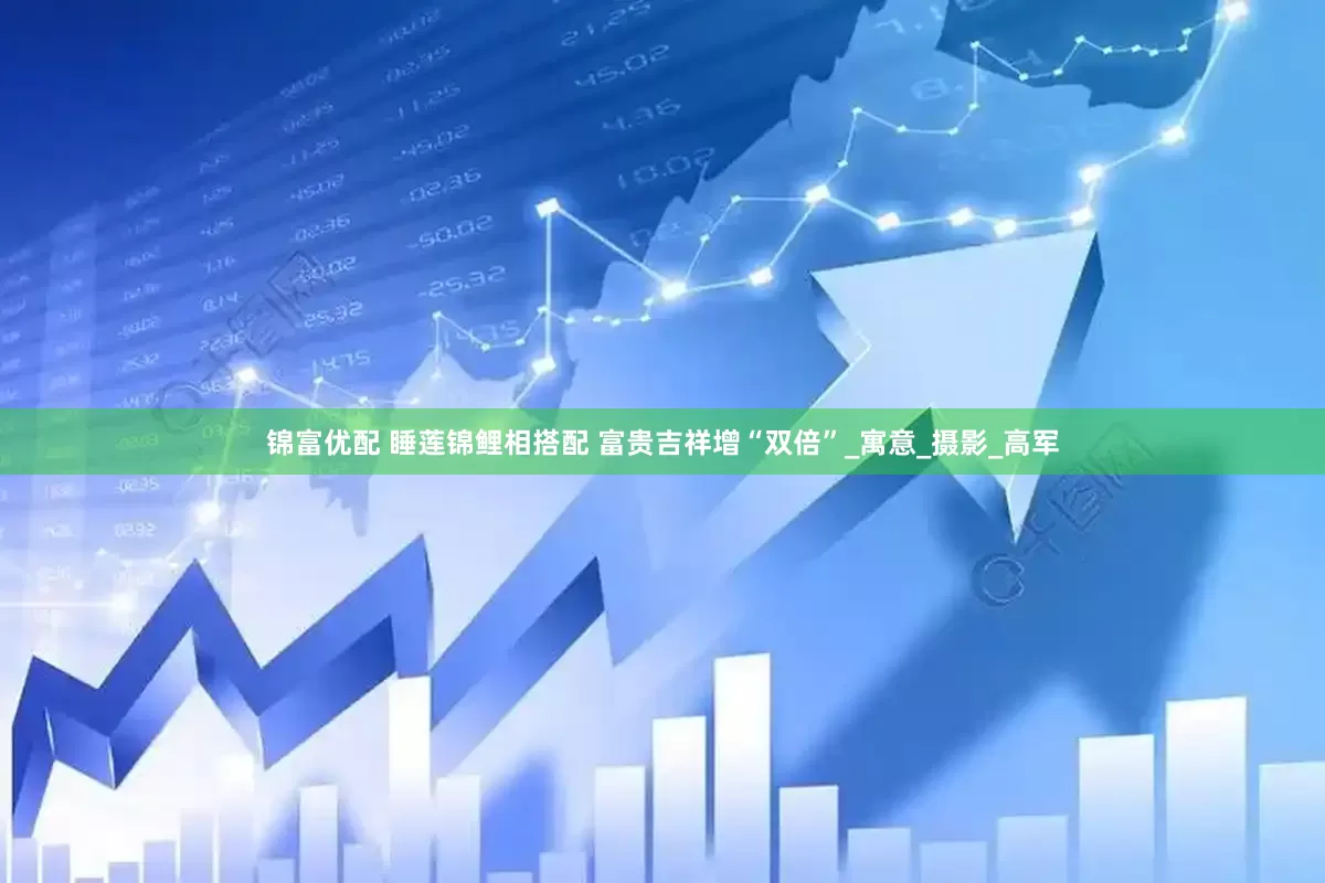 锦富优配 睡莲锦鲤相搭配 富贵吉祥增“双倍”_寓意_摄影_高军