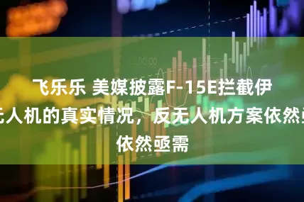 飞乐乐 美媒披露F-15E拦截伊朗无人机的真实情况，反无人机方案依然亟需