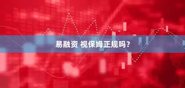 易融资 视保姆正规吗？