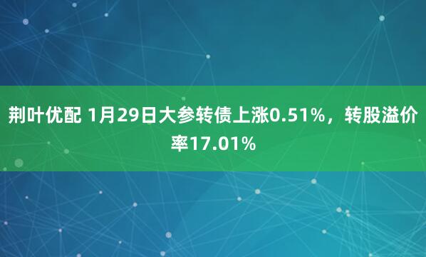 荆叶优配 1月29日大参转债上涨0.51%，转股溢价率17.01%