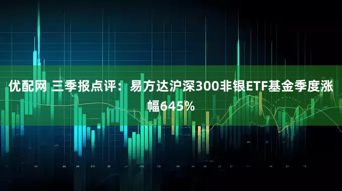 优配网 三季报点评：易方达沪深300非银ETF基金季度涨幅645%